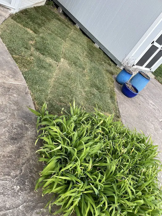 L & N lawncare services Picture 7