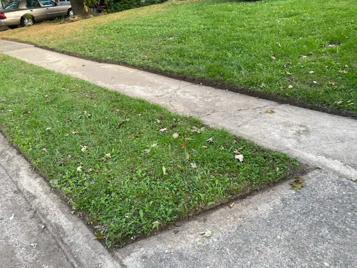 L & N lawncare services Picture 8