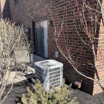 Nick Rayman Landscape Inc