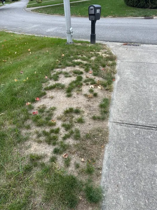 Navas Lawn And Landscape LLC Picture 7