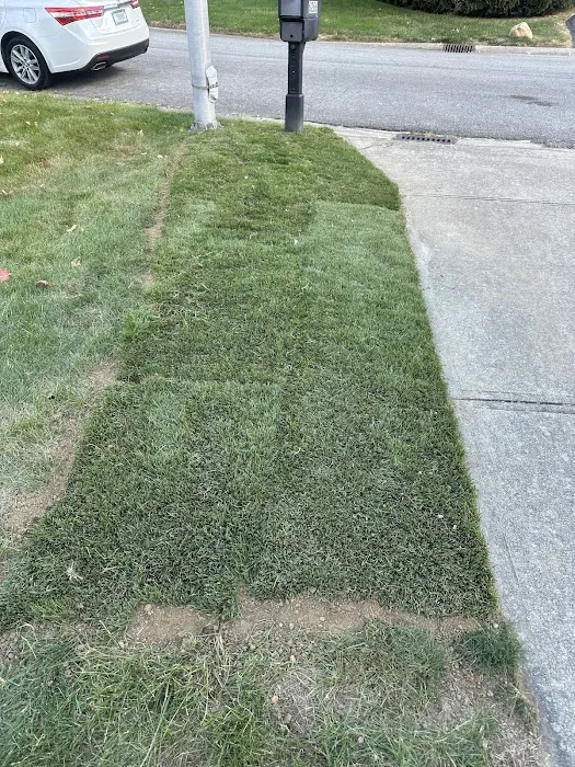 Navas Lawn And Landscape LLC Picture 6