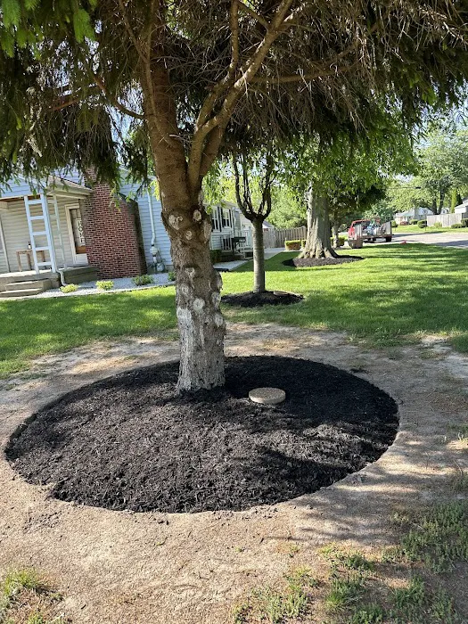 Navas Lawn And Landscape LLC Picture 5