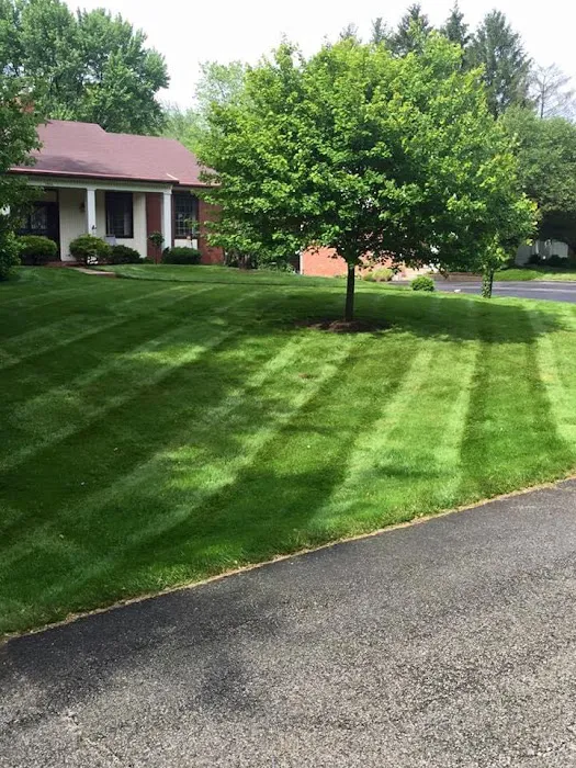 Navas Lawn And Landscape LLC Picture 1