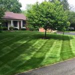 Navas Lawn And Landscape LLC
