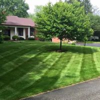 Navas Lawn And Landscape LLC ico