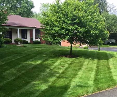 Navas Lawn And Landscape LLC