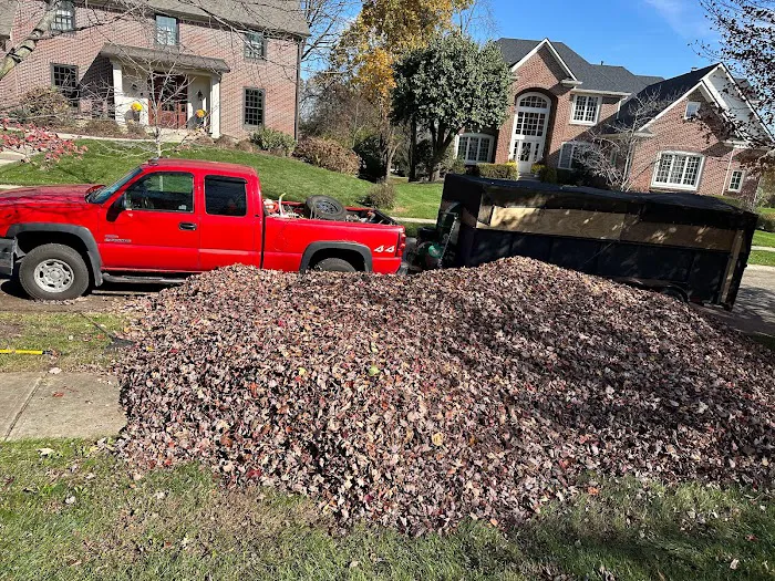 Navas Lawn And Landscape LLC Picture 4