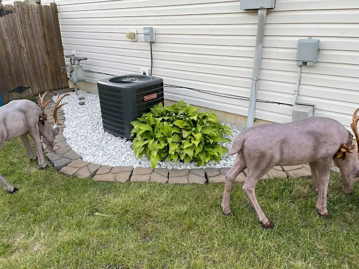 Navas Lawn And Landscape LLC Picture 3