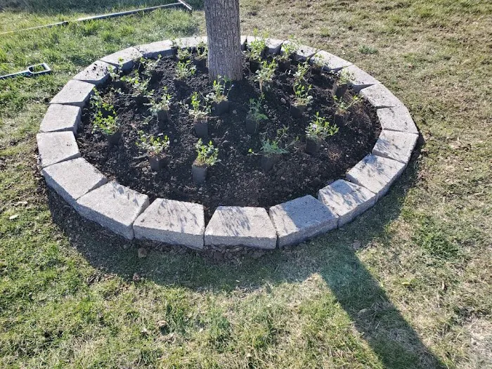 Navas Lawn And Landscape LLC Picture 8