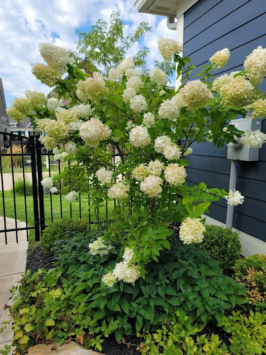 Navas Lawn And Landscape LLC Picture 10