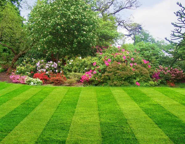 Heaven's Landscaping LLC Picture 9