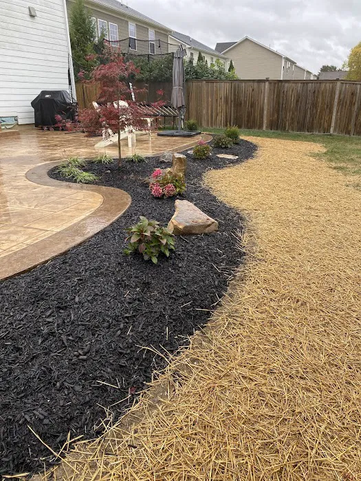The BackyarDream Landscaping Picture 4