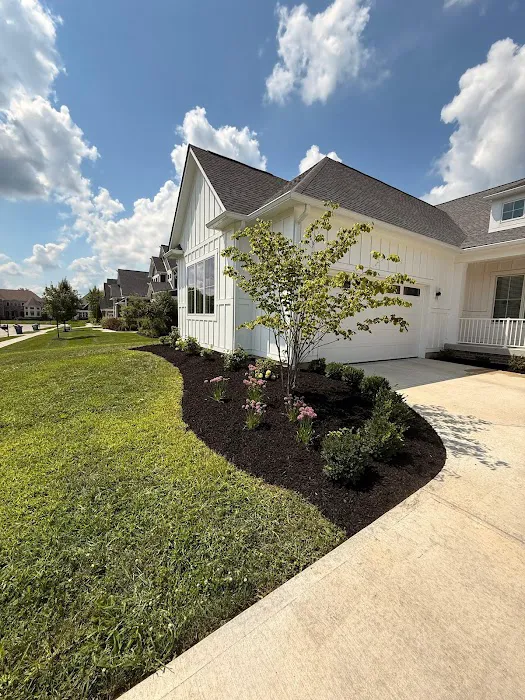 The BackyarDream Landscaping Picture 1