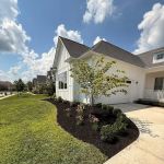 The BackyarDream Landscaping