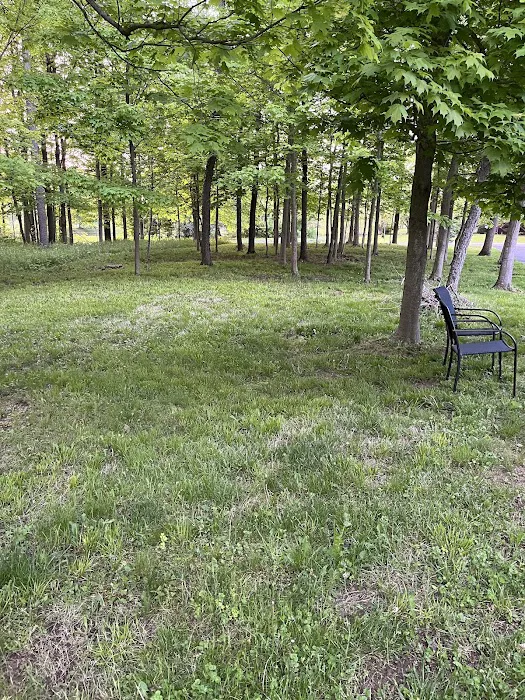 Cutterz Lawn and Landscape Picture 3