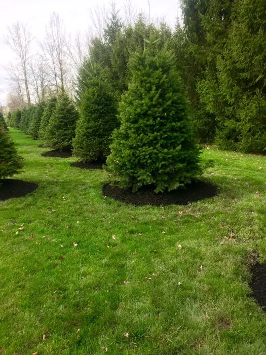 Greenland Landscape & Tree Service Picture 1