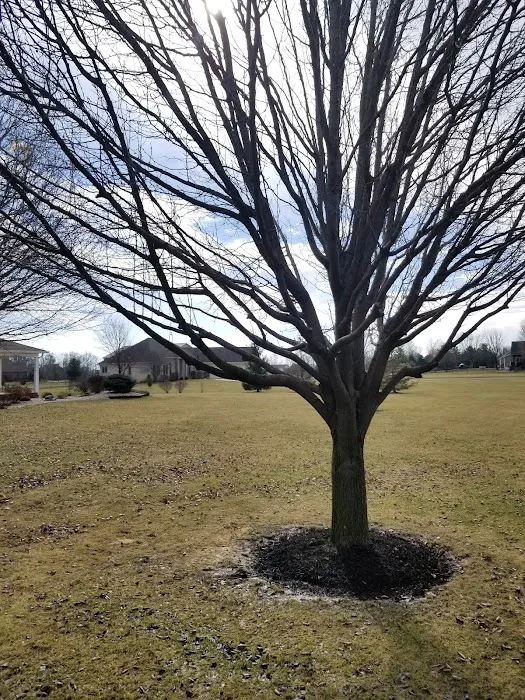 Greenland Landscape & Tree Service Picture 7