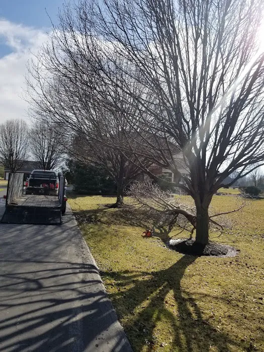 Greenland Landscape & Tree Service Picture 10