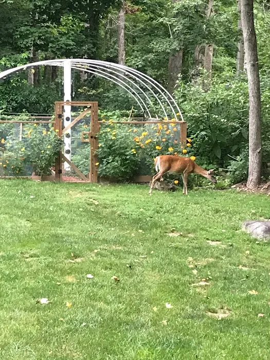 Your Backyard Garden LLC. Picture 2