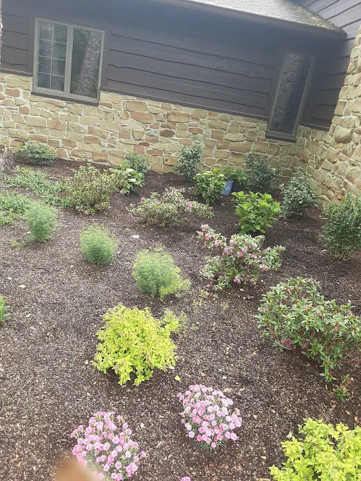 Greenleaf Landscaping Picture 1