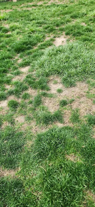 Cahill's Lawn & Landscape Picture 8