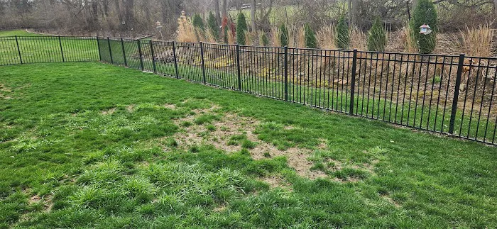 Cahill's Lawn & Landscape Picture 2