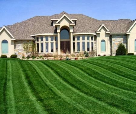 GRASSHOPPER Lawn & Landscape LLC