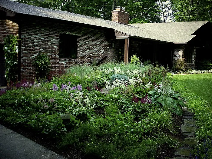 Designscape Horticultural Services Picture 8