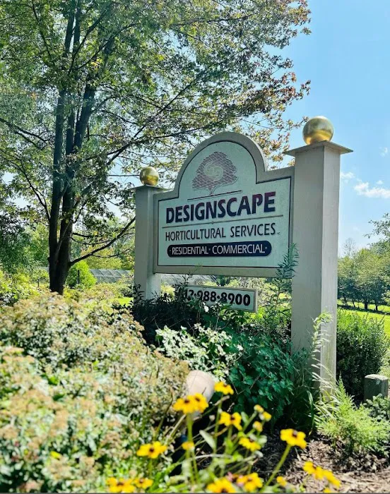 Designscape Horticultural Services Picture 2
