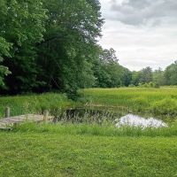 Woodland Farm Nursery ico
