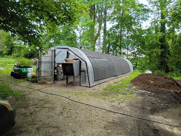 Woodland Farm Nursery Picture 3