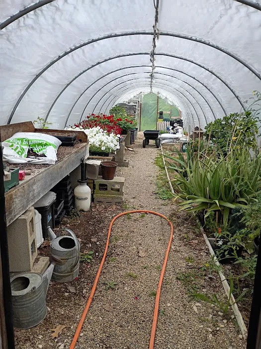 Woodland Farm Nursery Picture 2