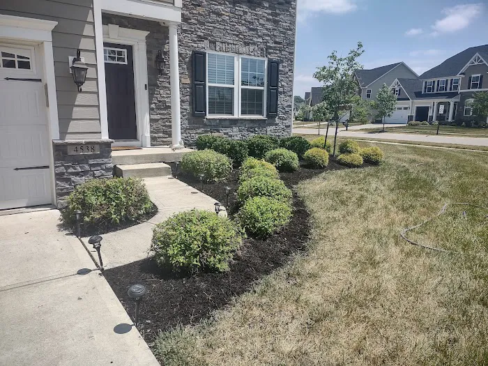 Splendidyards LLC. Picture 1