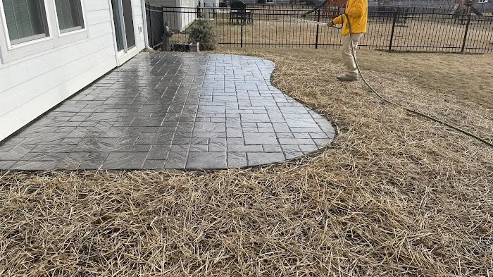 VJ landscaping Javier Leal Picture 7