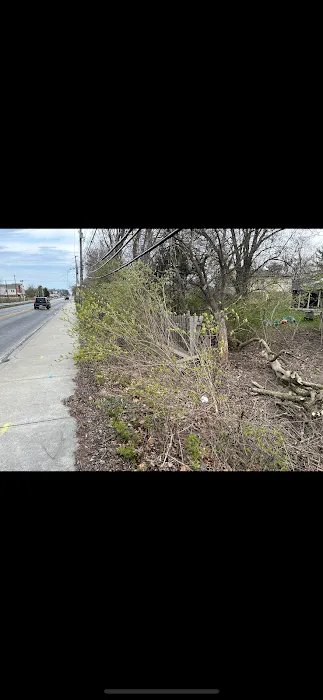 Good Fellas Landscaping LLC Picture 1