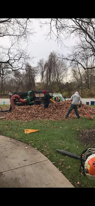 Good Fellas Landscaping LLC Picture 8