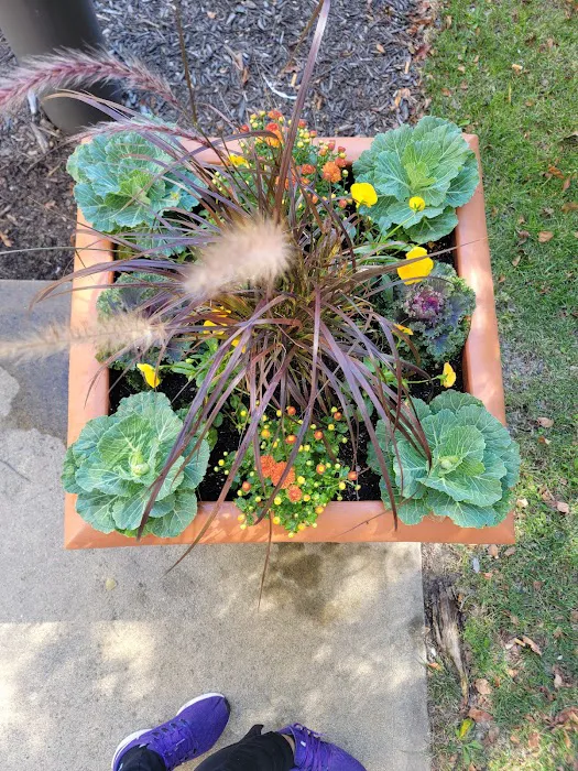 Blake Landscape LLC Picture 7