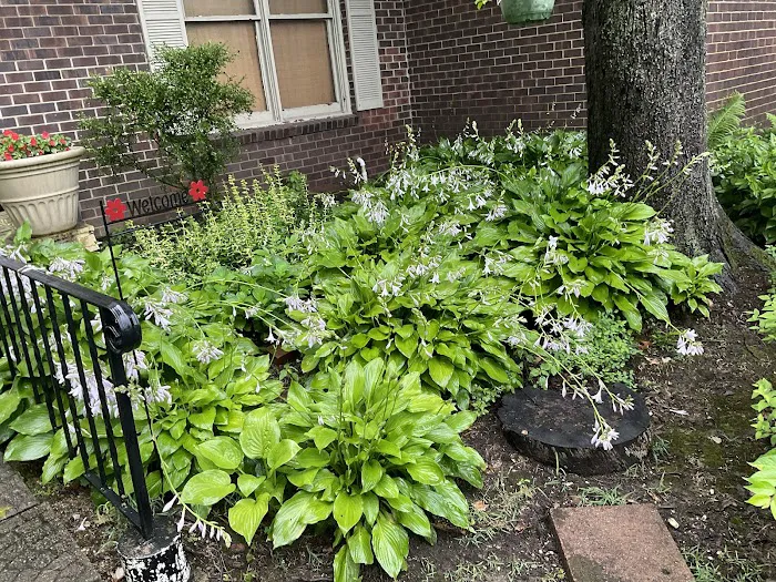Blake Landscape LLC Picture 10