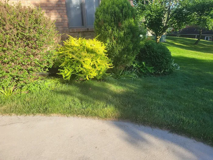 Blake Landscape LLC Picture 1