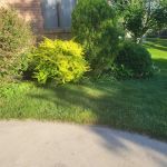 Blake Landscape LLC