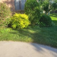 Blake Landscape LLC ico