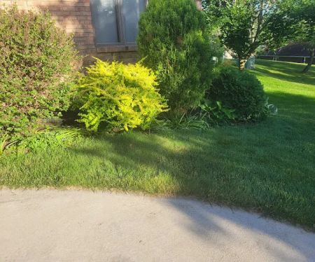Blake Landscape LLC