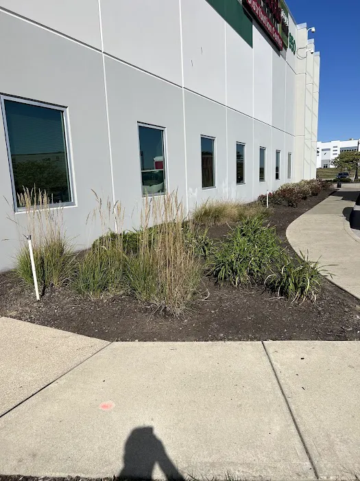 Caballero’s Landscaping LLC Picture 5