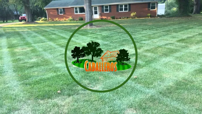 Caballero’s Landscaping LLC Picture 2
