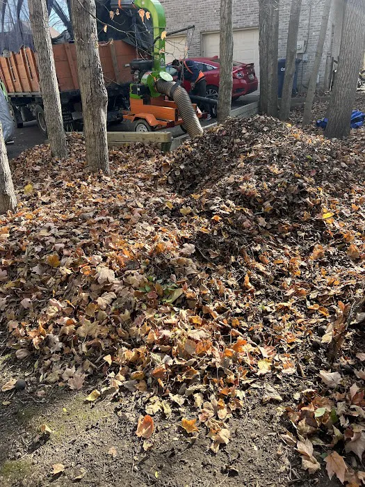 Caballero’s Landscaping LLC Picture 3