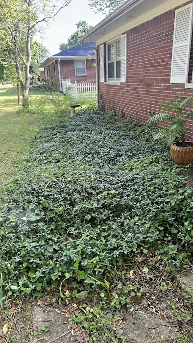 Caballero’s Landscaping LLC Picture 7