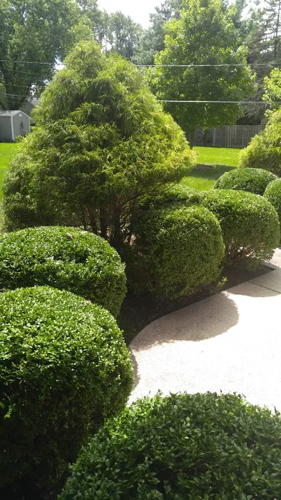 Happy Tree Landscaping LLC Picture 9
