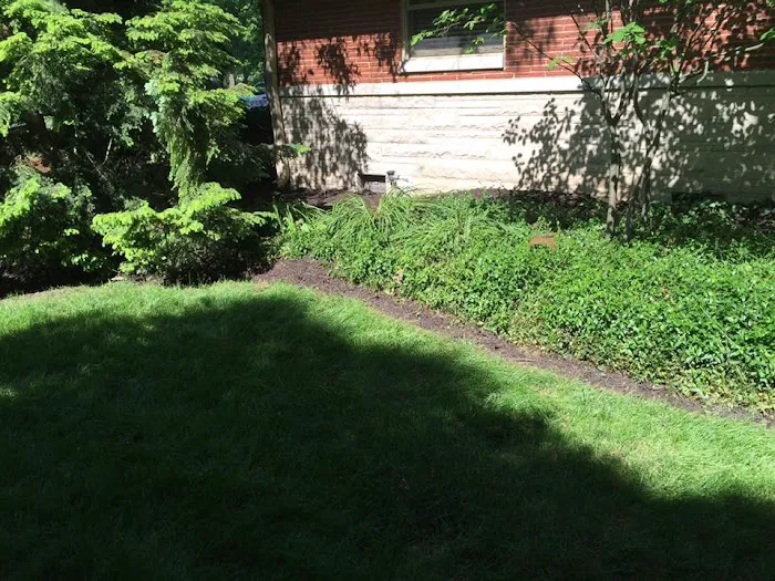 Happy Tree Landscaping LLC Picture 3