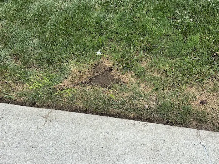 Happy Tree Landscaping LLC Picture 4