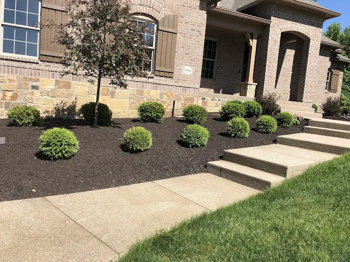 Happy Tree Landscaping LLC Picture 8